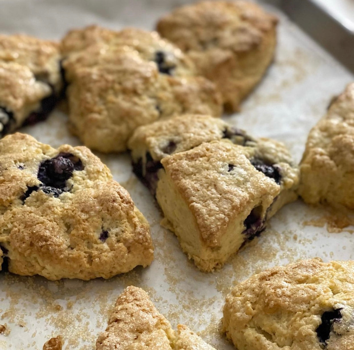 Mini Lemon Blueberry Scones