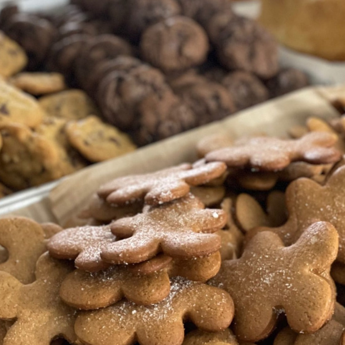 TAMID COOKIE TIN CHRISTMAS EDITION