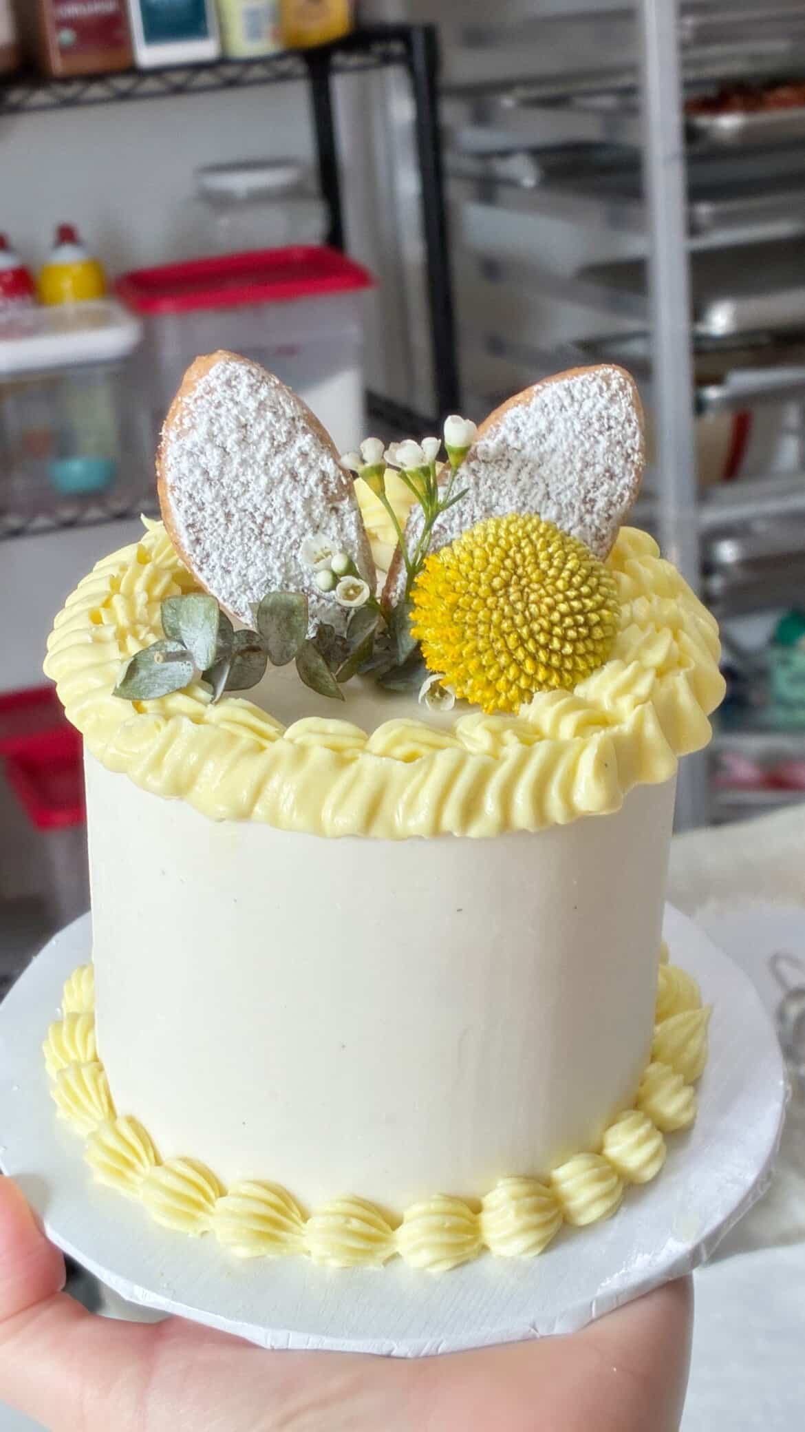 Mini Coco ParchaEaster Egg